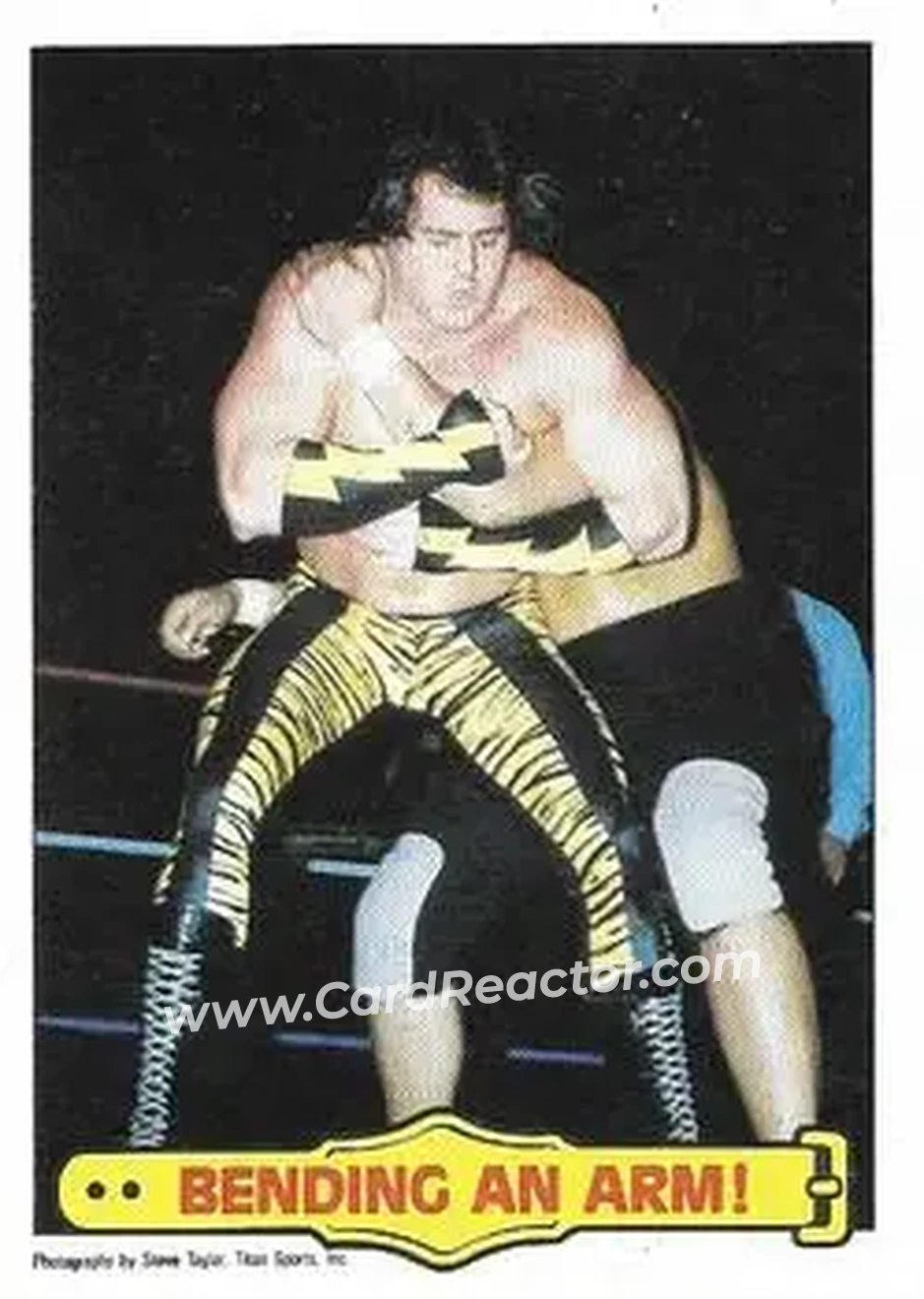 1986 Scanlens WWF Pro Wrestler #41 - Card #41