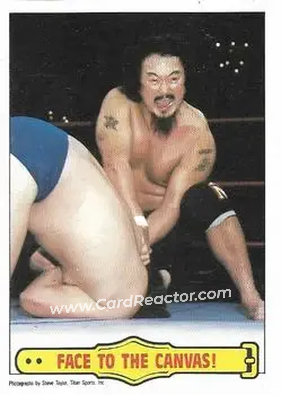1986 Scanlens WWF Pro Wrestler #43 - Card #43