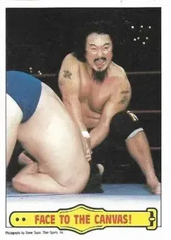 1986 Scanlens WWF Pro Wrestler #43 - Card #43