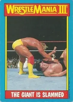 1987 O-Pee-Chee WWF #54 - Card #54