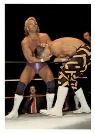 1988 Wonderama NWA #31 - Card #31