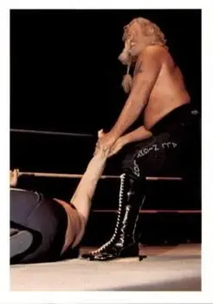 1988 Wonderama NWA #33 - Jimmy Valiant