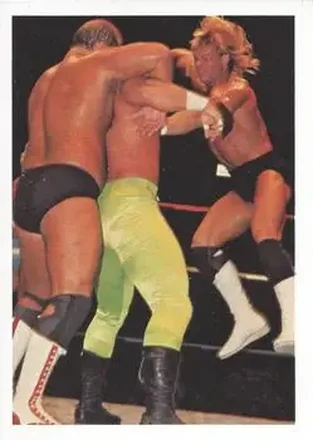 1988 Wonderama NWA #35 - Lex Luger