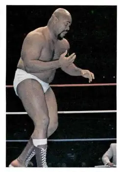 1988 Wonderama NWA #36 - Shaska Whatley