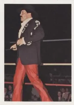 1988 Wonderama NWA #40 - Paul Jones