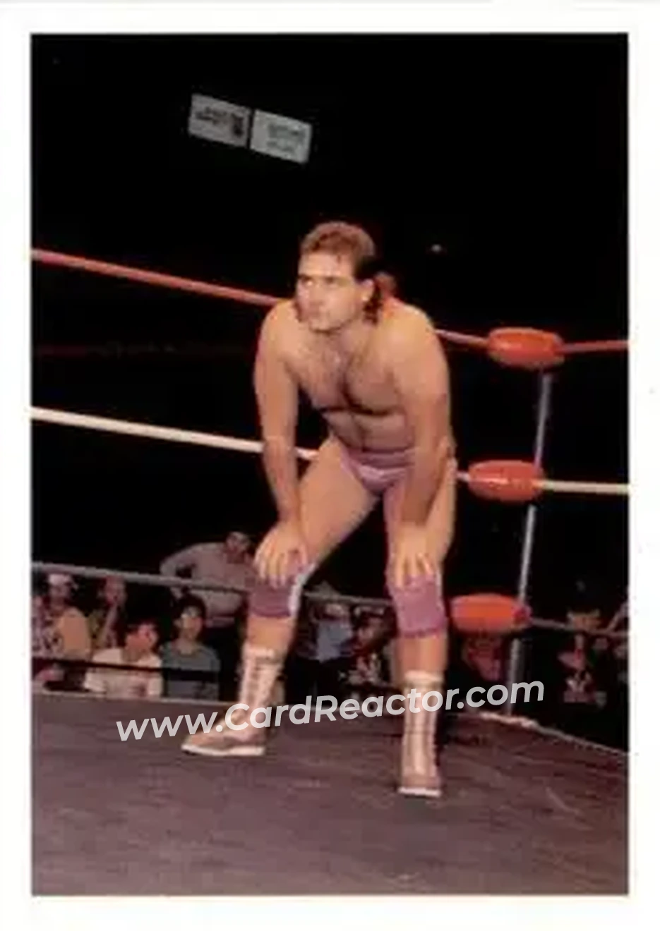 1988 Wonderama NWA #45 - Larry Stephens