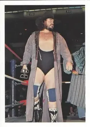 1988 Wonderama NWA #46 - Black Bart