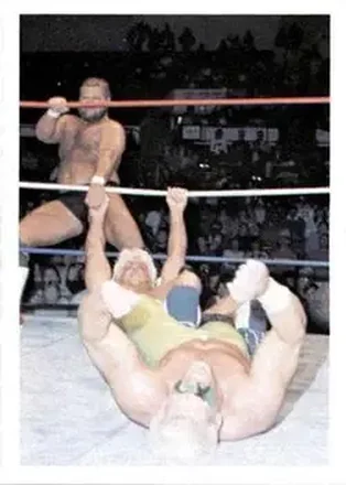 1988 Wonderama NWA #48 - Card #48