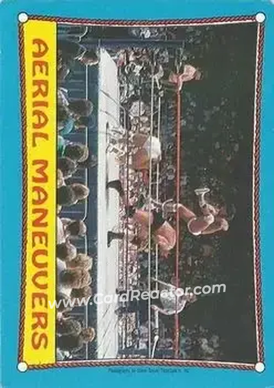 1987 O-Pee-Chee WWF #61 - Card #61