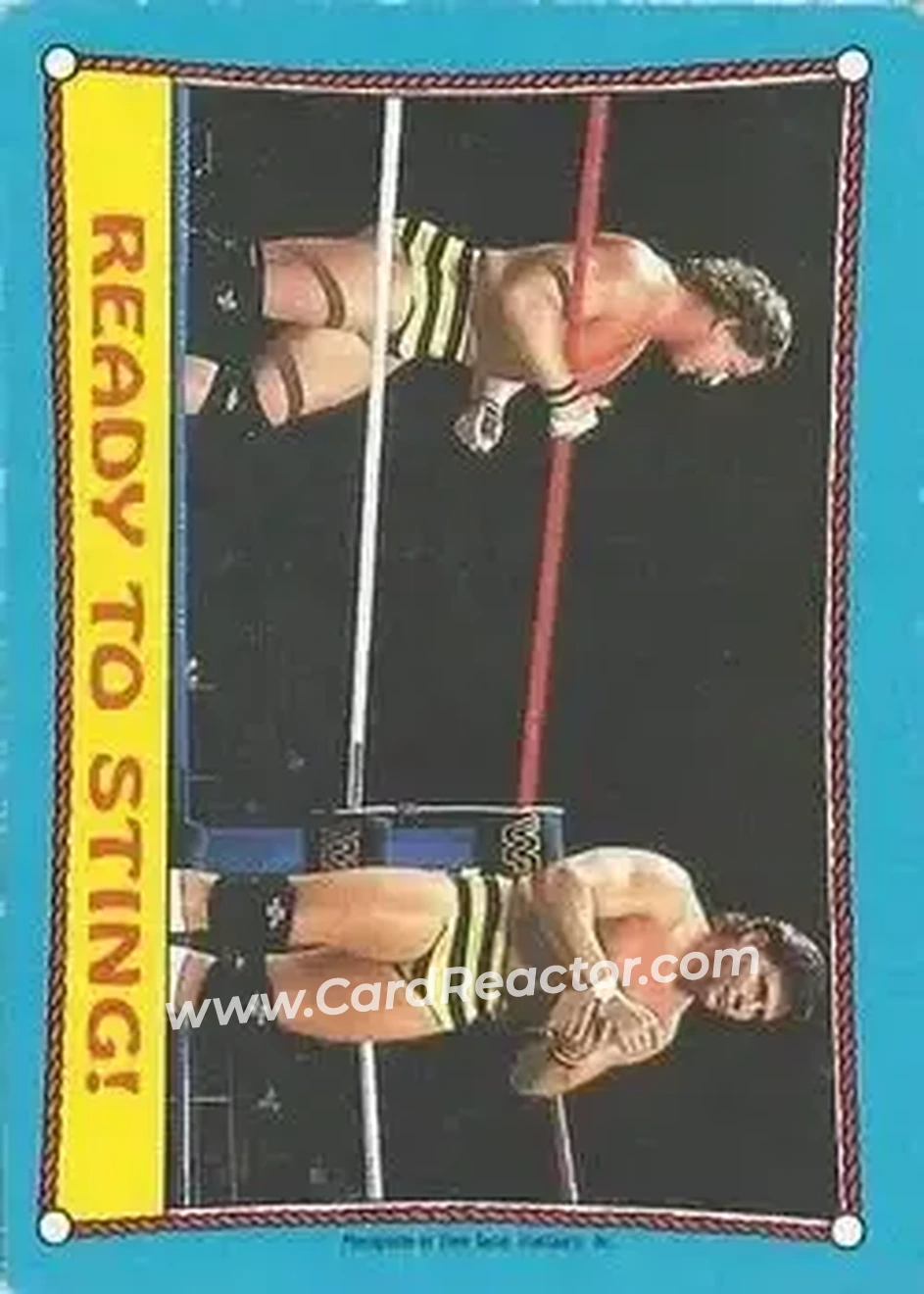 1987 O-Pee-Chee WWF #62 - Card #62