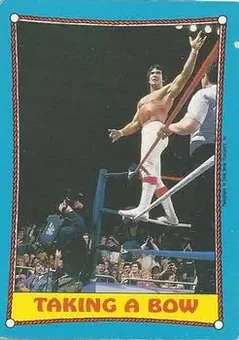 1987 O-Pee-Chee WWF #65 - Card #65