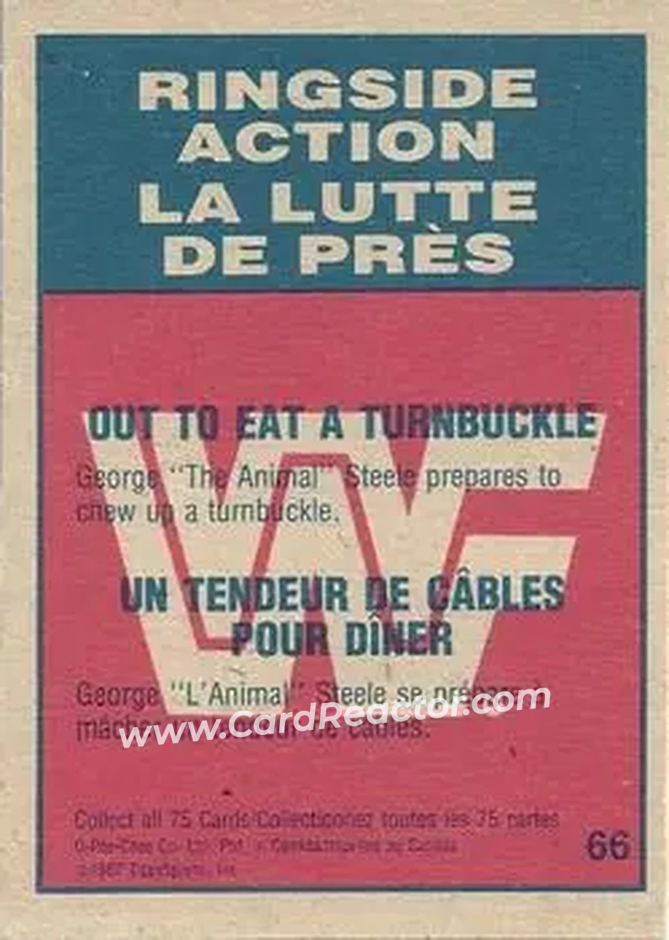 1987 O-Pee-Chee WWF #66 - Card #66