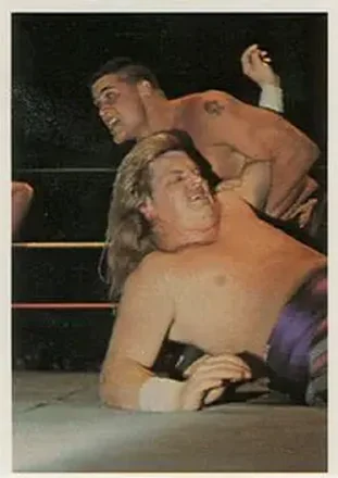 1988 Wonderama NWA #52 - Card #52