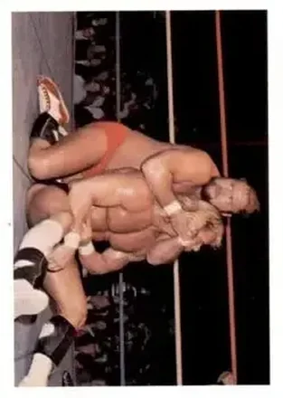 1988 Wonderama NWA #53 - Card #53