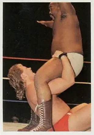 1988 Wonderama NWA #55 - Card #55
