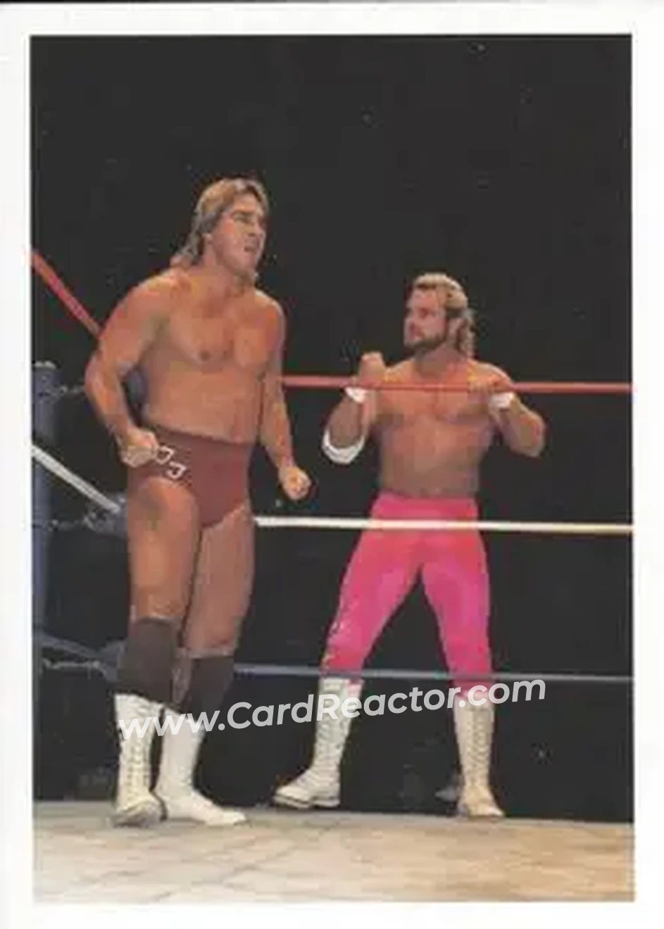 1988 Wonderama NWA #58 - Card #58