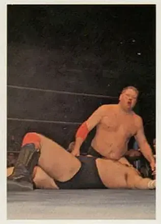 1988 Wonderama NWA #59 - Dick Murdoch