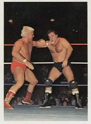 1988 Wonderama NWA #65 - Rugged Ronnie Garvin