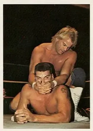 1988 Wonderama NWA #71 - Card #71