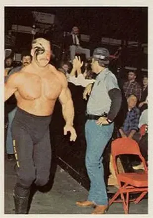 1988 Wonderama NWA #75 - Road Warrior Hawk