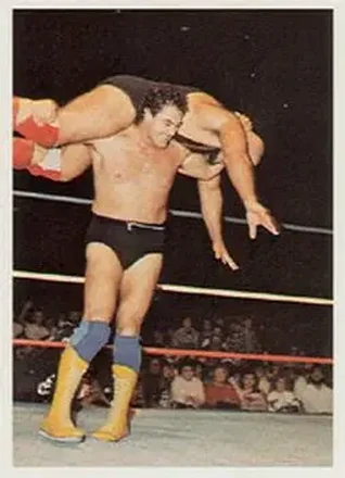 1988 Wonderama NWA #76 - Mike Rotunda