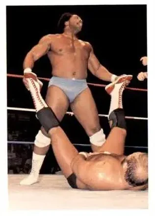 1988 Wonderama NWA #77 - Card #77