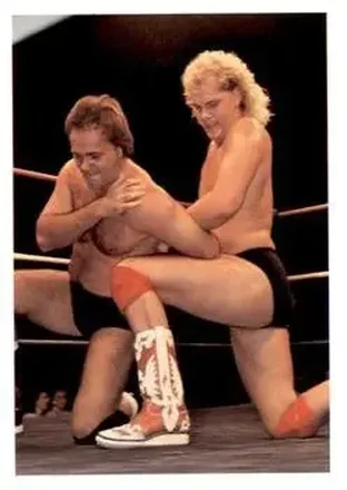 1988 Wonderama NWA #81 - Card #81