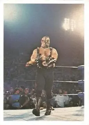 1988 Wonderama NWA #82 - Road Warrior Animal