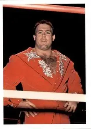 1988 Wonderama NWA #84 - Tully Blanchard