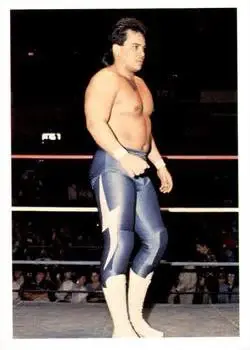 1988 Wonderama NWA #87 - Ricky Santana