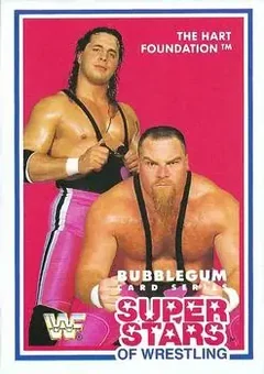 1989-90 Market-Scene WWF Superstars of Wrestling Series 3 #8 - The Hart Foundation