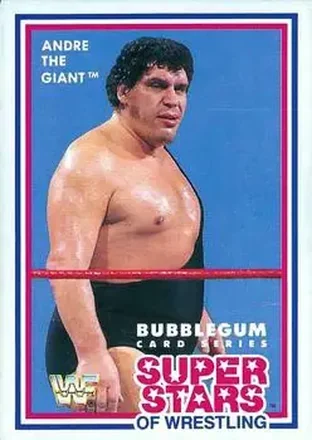 1989 Market-Scene WWF Superstars of Wrestling Series 1 #2 - Andre the Giant