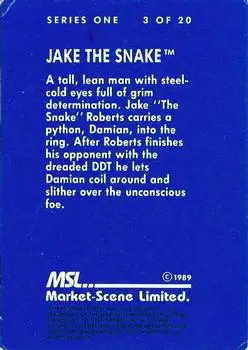 1989 Market-Scene WWF Superstars of Wrestling Series 1 #3 - Jake "The Snake" Roberts