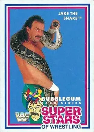 1989 Market-Scene WWF Superstars of Wrestling Series 1 #3 - Jake "The Snake" Roberts
