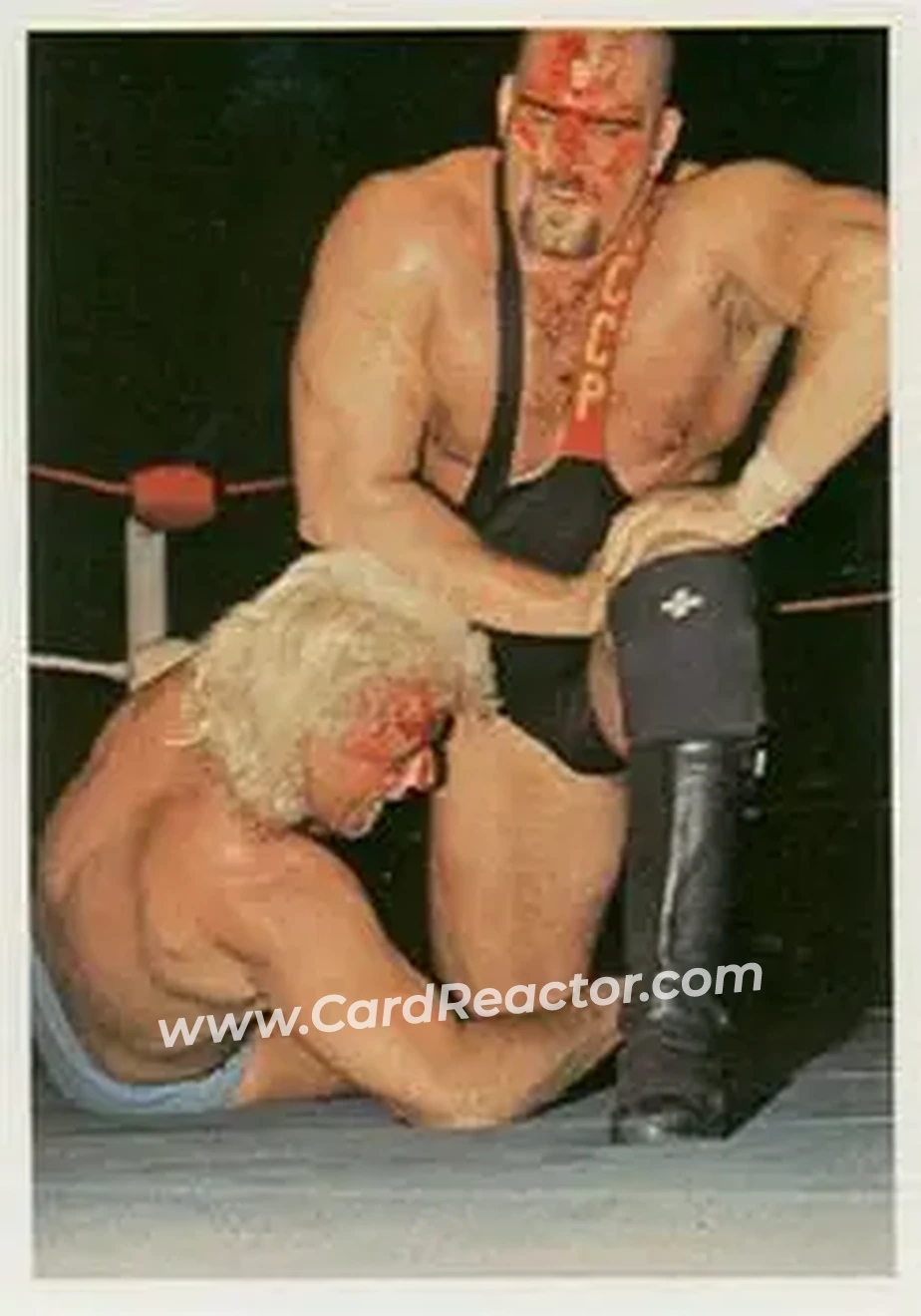 1988 Wonderama NWA #89 - Card #89