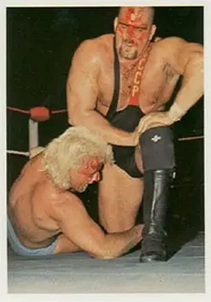 1988 Wonderama NWA #89 - Card #89