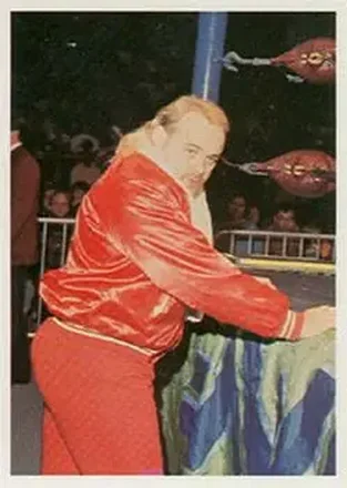 1988 Wonderama NWA #91 - Kevin Sullivan