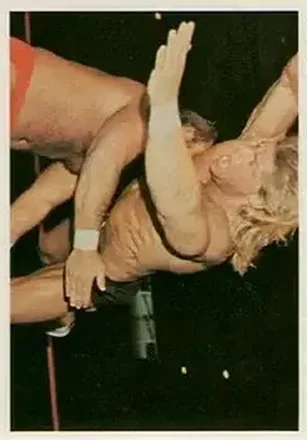 1988 Wonderama NWA #93 - Card #93