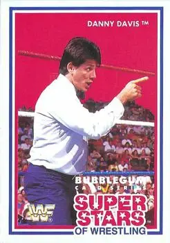 1989-90 Market-Scene WWF Superstars of Wrestling Series 3 #16 - Danny Davis