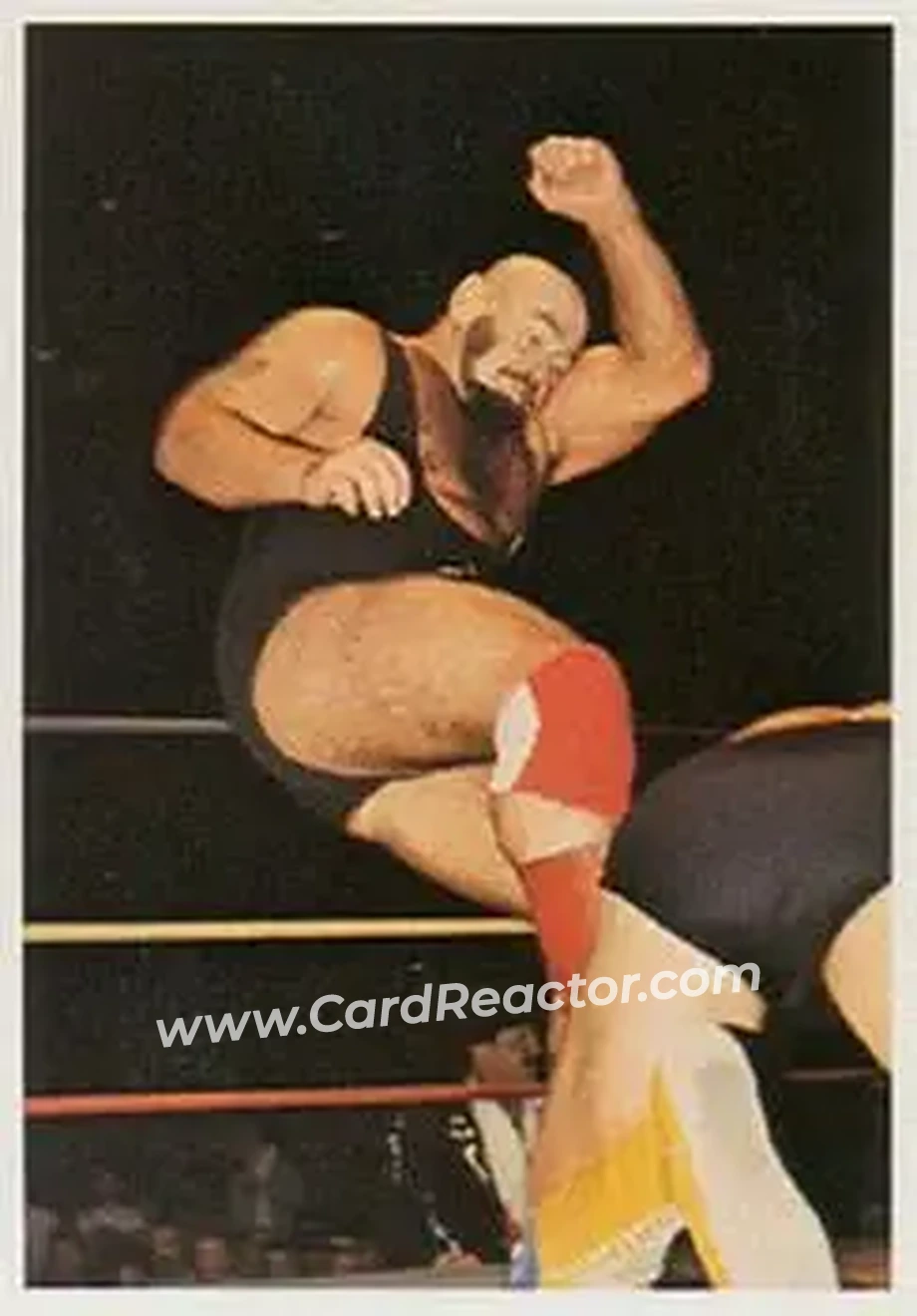 1988 Wonderama NWA #100 - Ivan Koloff