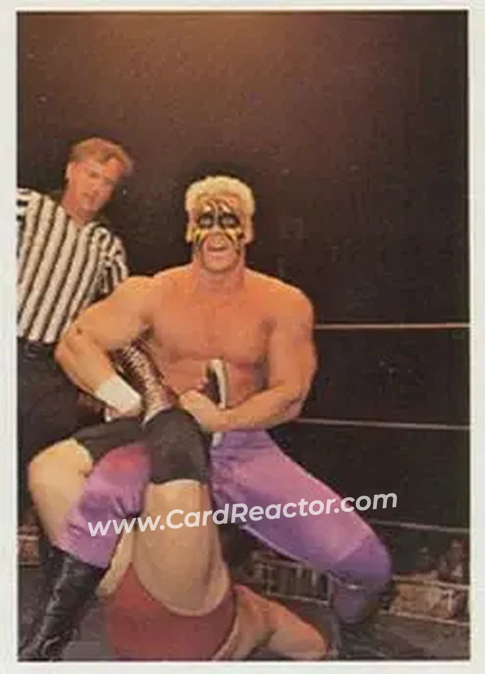 1988 Wonderama NWA #102 - Sting
