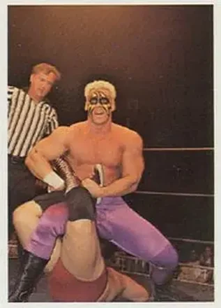 1988 Wonderama NWA #102 - Sting