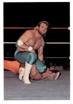 1988 Wonderama NWA #104 - Card #104