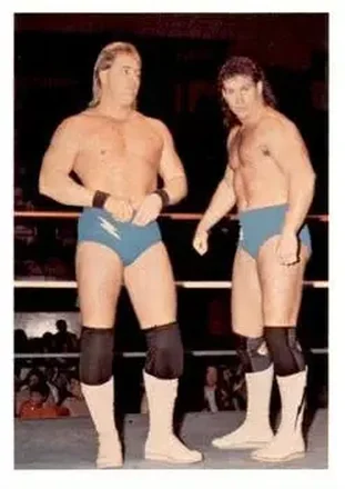 1988 Wonderama NWA #108 - Card #108