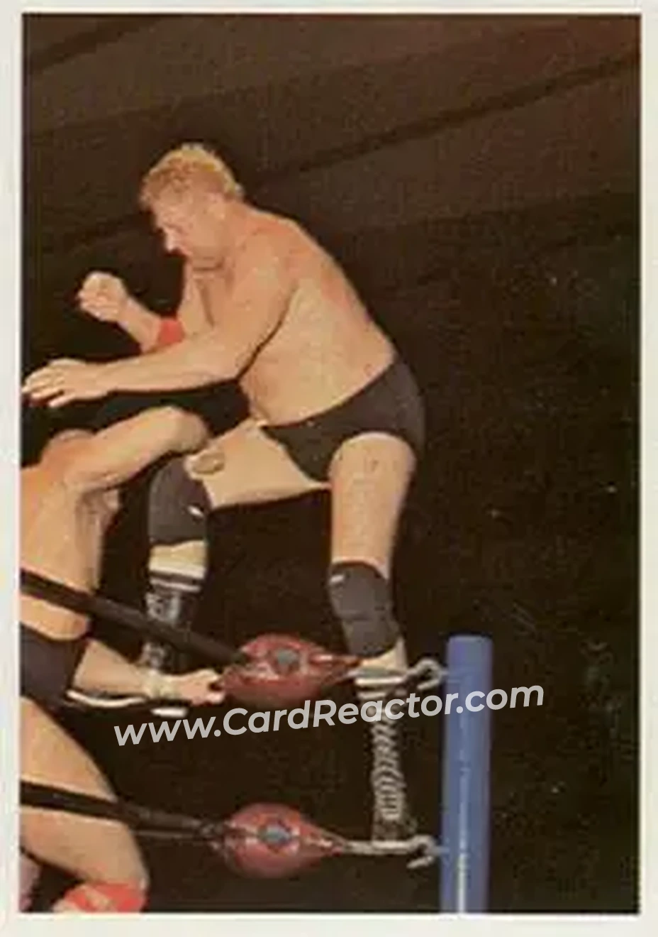 1988 Wonderama NWA #110 - Dick Murdoch