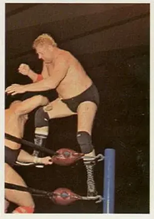 1988 Wonderama NWA #110 - Dick Murdoch 1988 Wonderama NWA #110 - Dick Murdoch
