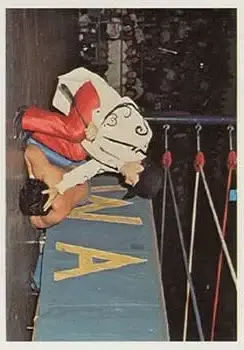 1988 Wonderama NWA #115 - Paul Jones