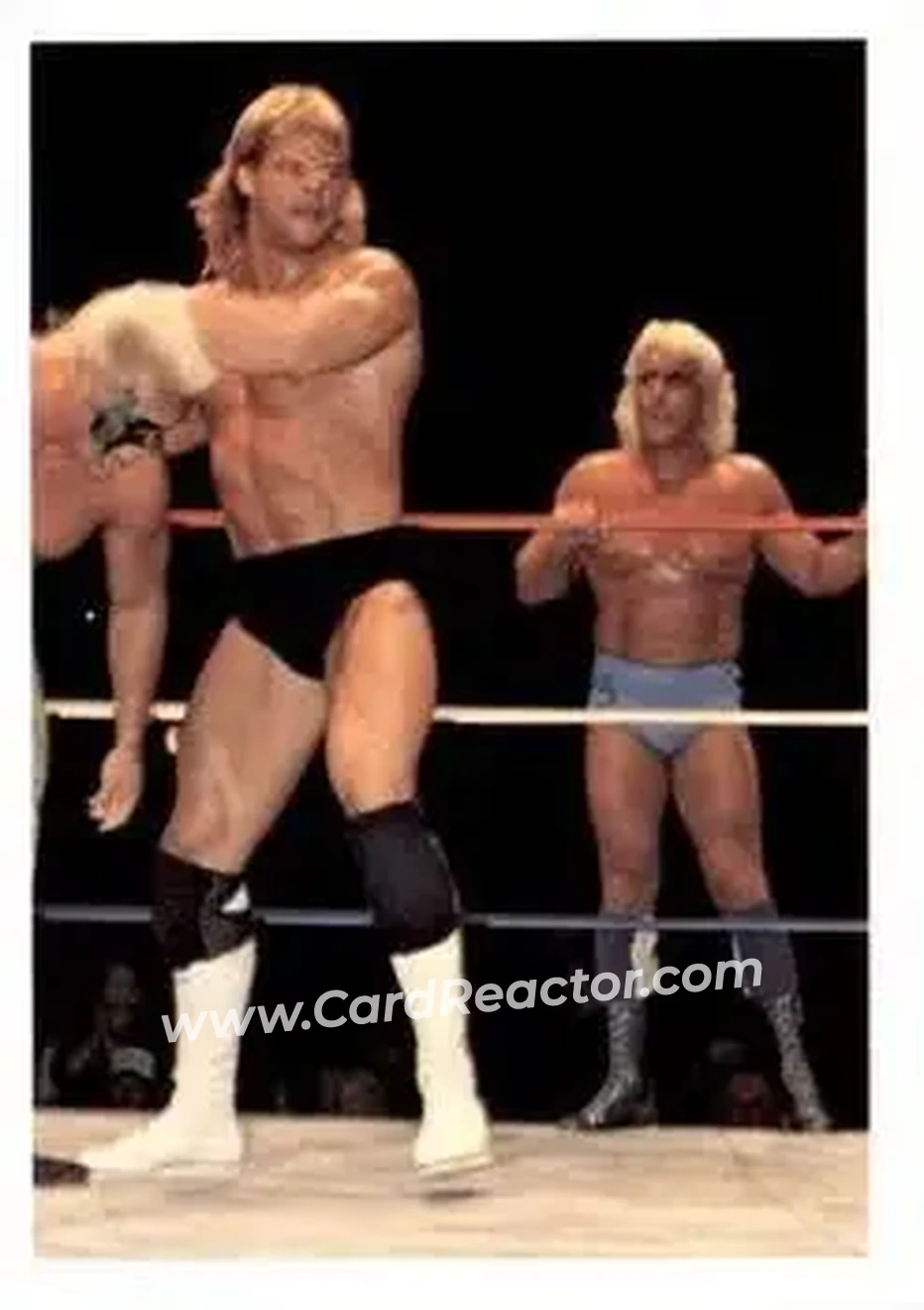 1988 Wonderama NWA #116 - Card #116