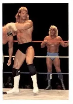 1988 Wonderama NWA #116 - Card #116 1988 Wonderama NWA #116 - Card #116