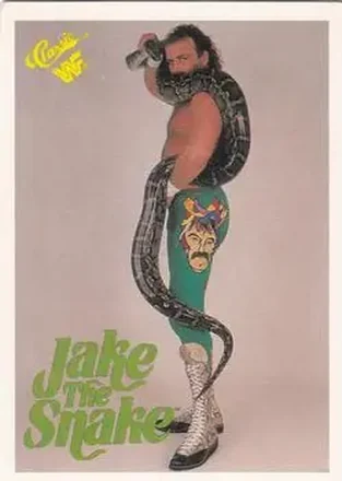 1990 Classic WWF #7 - Jake "The Snake" Roberts 1990 Classic WWF #7 - Jake "The Snake" Roberts